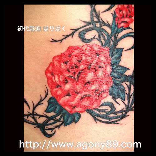 薔薇の花のタトゥー453_1