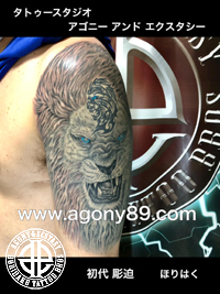 左二の腕に水色の目のライオンのブラック アンド グレー タトゥー画像【エゴニー アンド エクスタシー タトゥーデザインスタジオ】彫迫