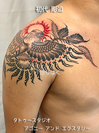 胸から腕に鳥と太陽と植物のタトゥー画像【エゴニー アンド エクスタシー タトゥーデザインスタジオ】彫迫