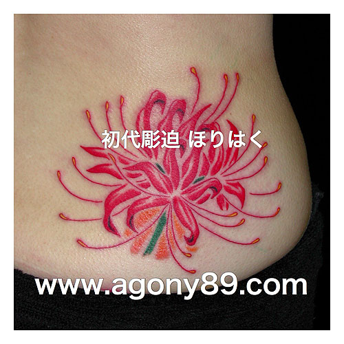 女性の腰に赤い彼岸花の刺青 1191_1