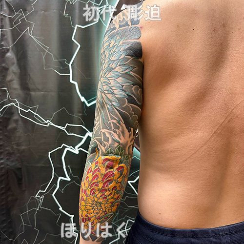 菊と月下美人の花の刺青1645_7