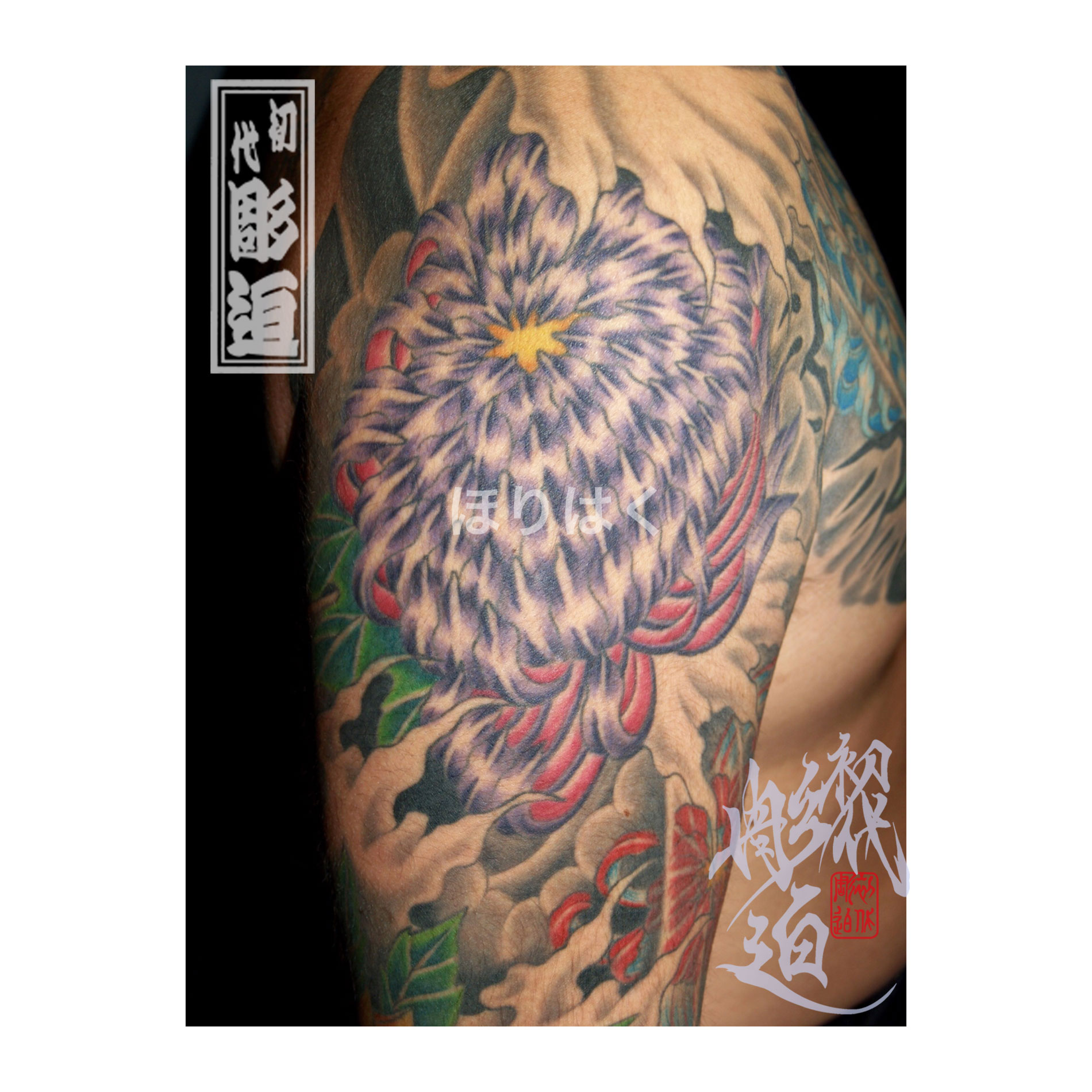 菊の刺青 菊水散らし 数珠に縁起札 キクスイチラシ ジュズにエンギフダ 和彫り 刺青 タトゥーデザイン